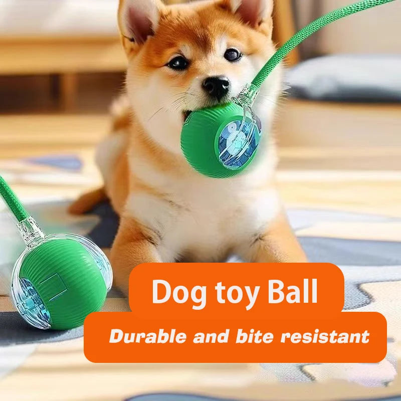 Motorised Ball for Dogs/Cats