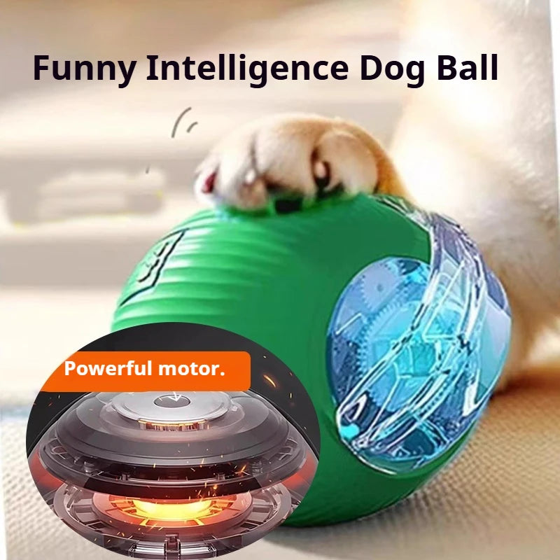 Motorised Ball for Dogs/Cats