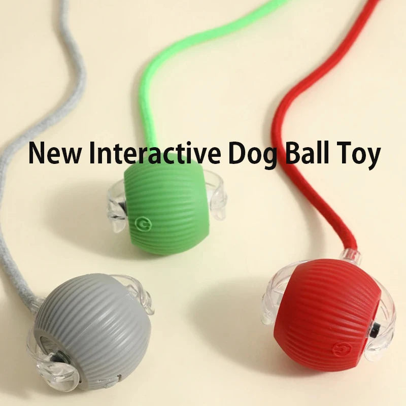 Motorised Ball for Dogs/Cats