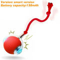 Motorised Ball for Dogs/Cats
