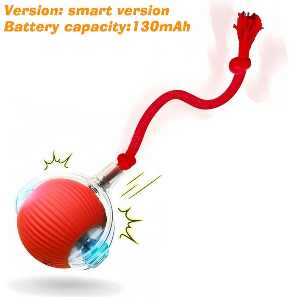 Motorised Ball for Dogs/Cats