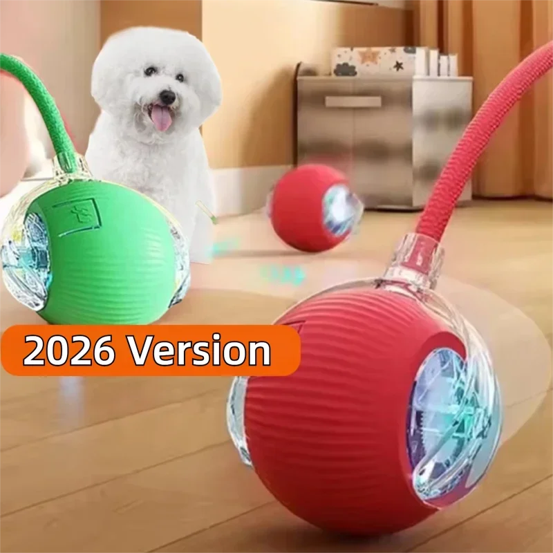 Motorised Ball for Dogs/Cats