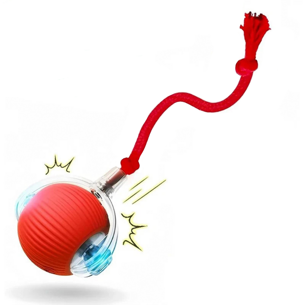 Motorised Ball for Dogs/Cats
